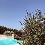 Le Cocon Bord De *