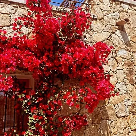 Le Cocon Bord De Apartamento