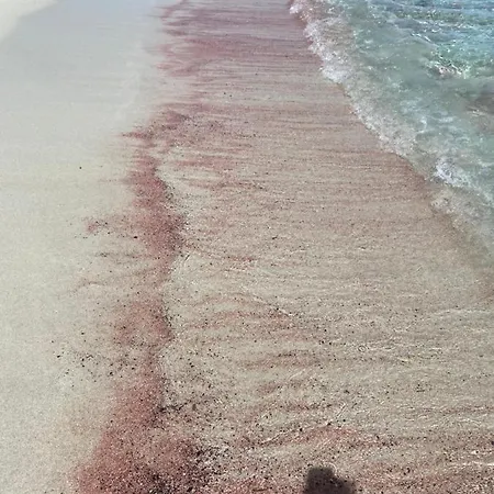 Le Cocon Bord De Belgodère